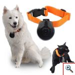 Κάμερα Παρακολούθησης Κατοικιδίων