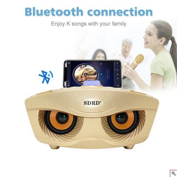 Φορητό Ηχοσύστημα Bluetooth USB/SD Karaoke Με 2 Μικρόφωνα Mp3 Player - Multimedia Speaker SD-306
