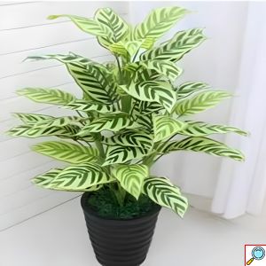 Τεχνητό Διακοσμητικό Φυτό Yellow Velvet 90cm σε Γλαστράκι