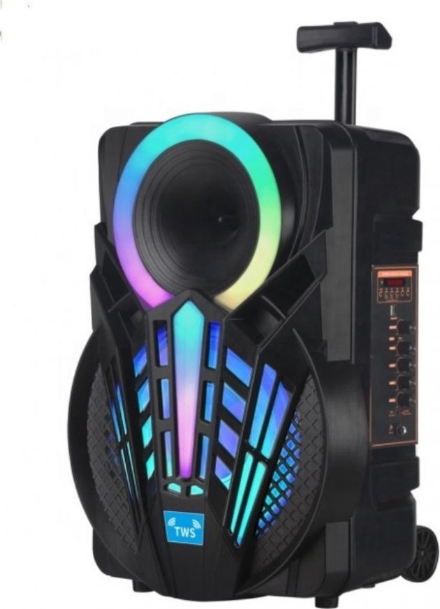 Φορητό Ηχείο Bluetooth 40W – Karaoke με Woofer 12