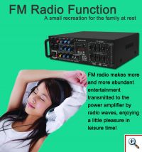 Δικάναλος Ενισχυτής 2Χ100Watts Stereo Bluetooth Radio Karaoke YT-G0326