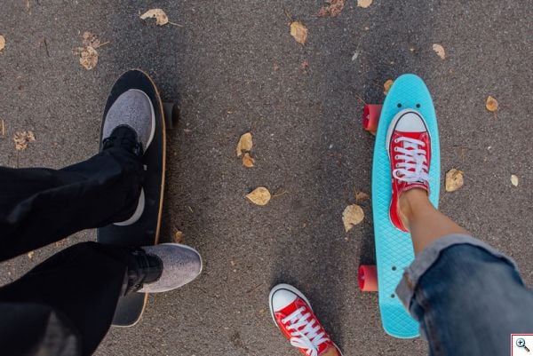 Penny Board Skateboard 22